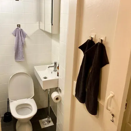 Διαμέρισμα Spacious Bohemian Studio In Trendy Kallio